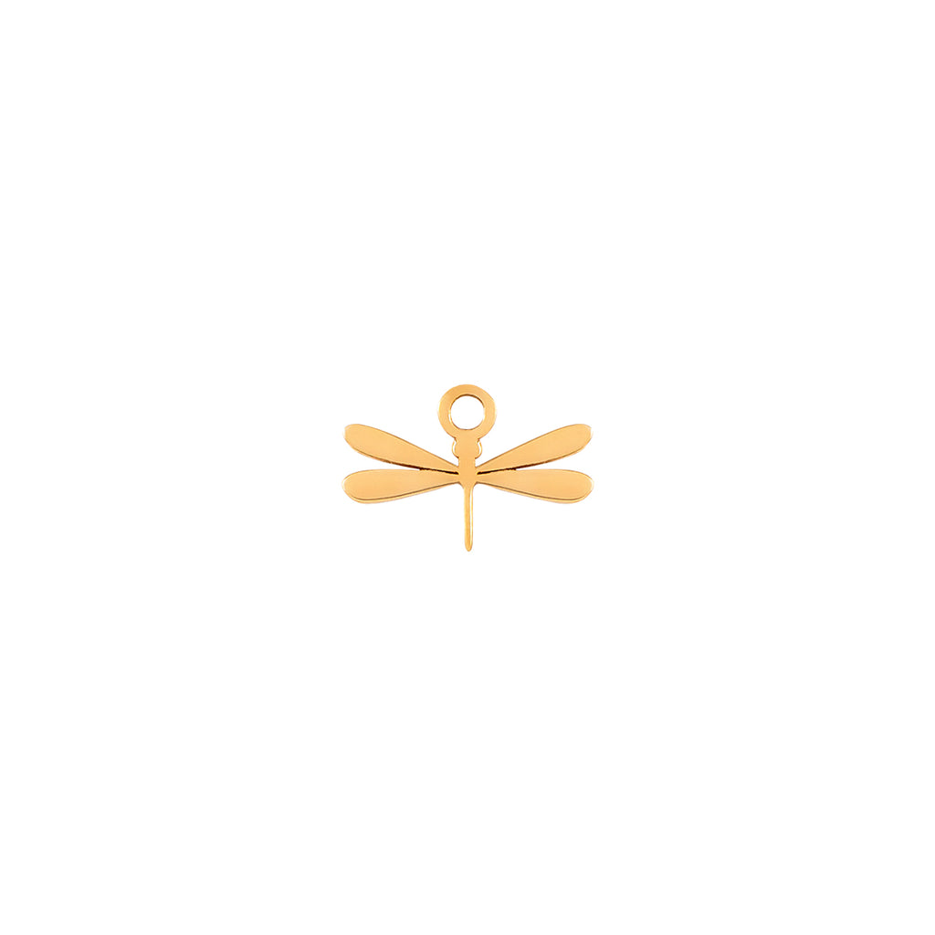 Dragonfly Charm