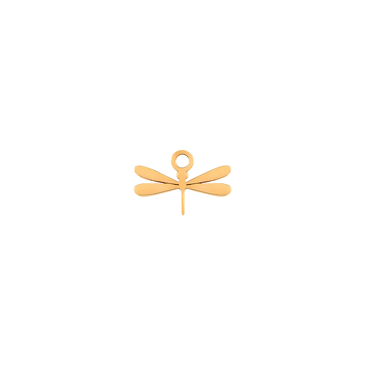 Dragonfly Charm