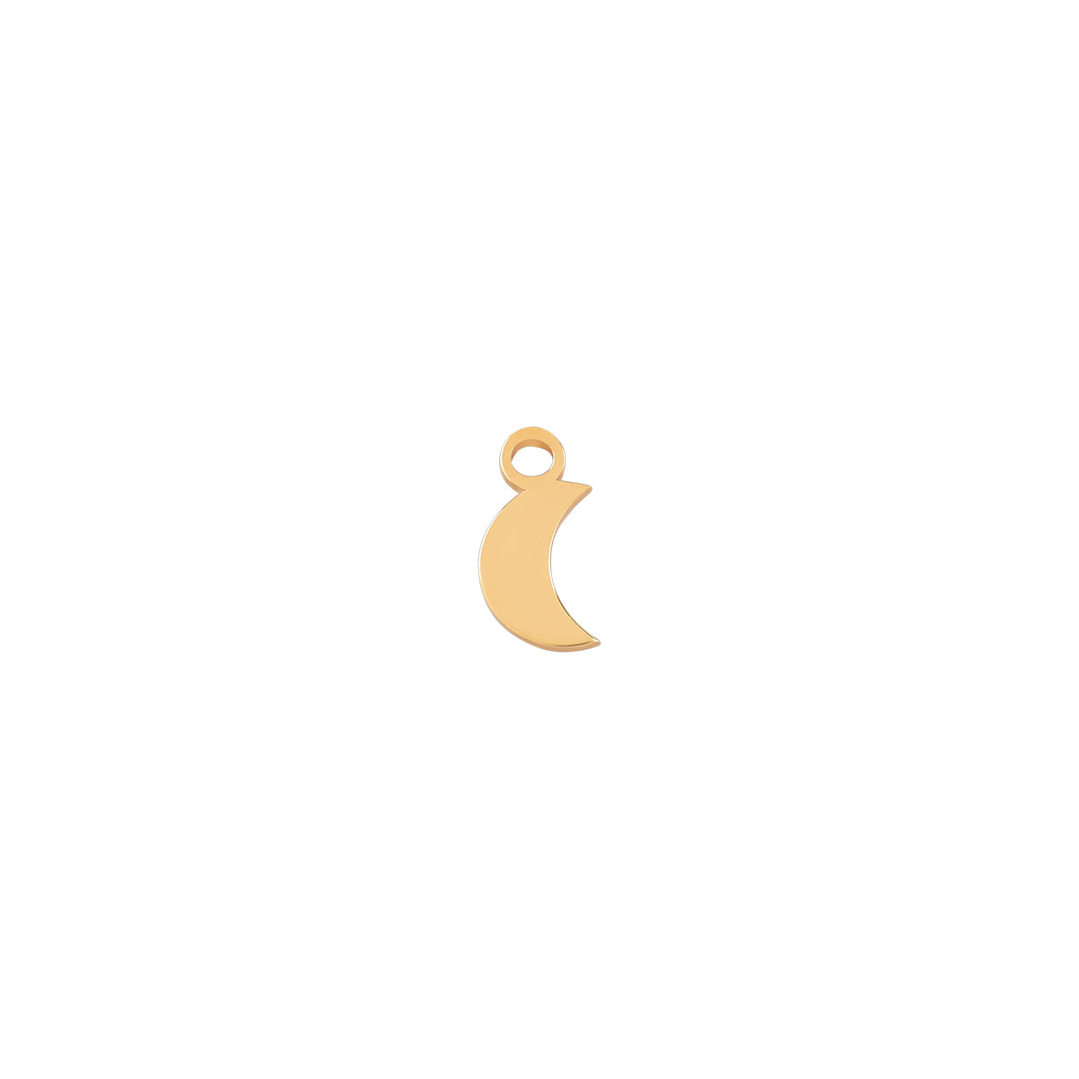 Moon Charm
