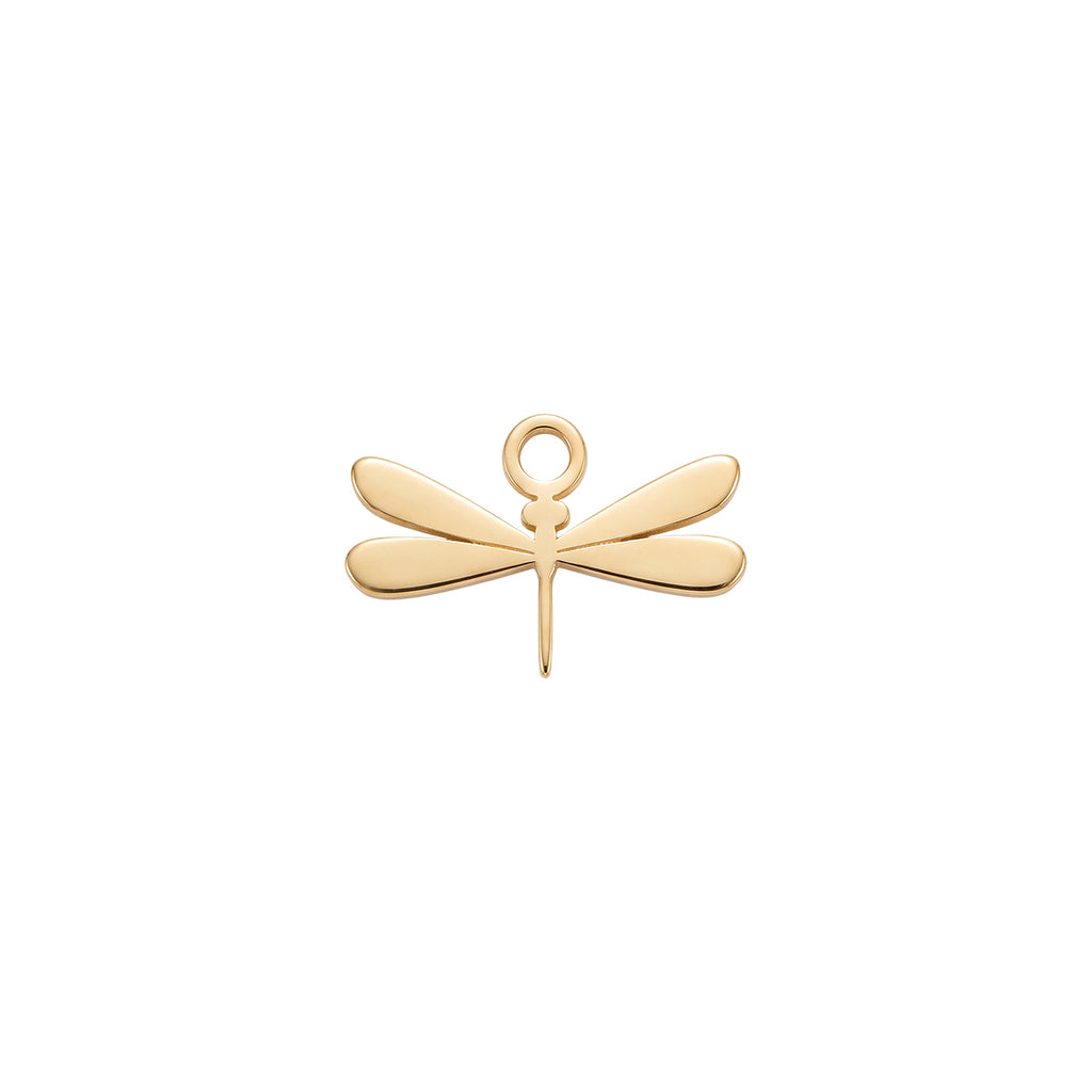 Dragonfly Charm